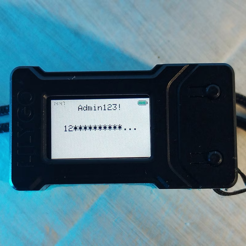 Password manager mode showing secure vault entries