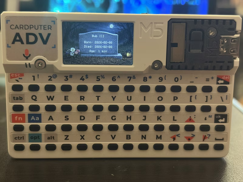 The mourning screen showing the end of a pet's life cycle