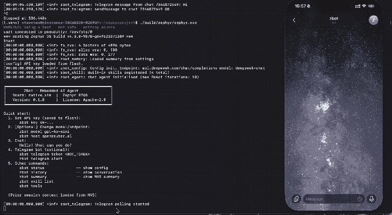 zbot interactive chat demonstration